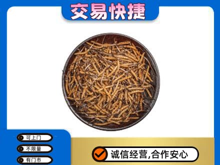 颍州区高价回收散虫草